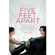 Five Feet Apart (2019)_1 Movie Film Poster Canvas iconic design