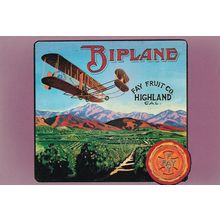 Fay Orange Fruit Company Biplane California Advertising Postcard