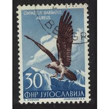 Yugoslavia Lammergeier Bird 1954 Canc SG#771 MI#744