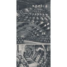 Spain San Sadurni De Noya Casa Codorniu 3x Antique Postcard s