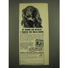 1952 Milk-Bone Dog Biscuit Ad - At home or afield I thrive on Milk-Bone