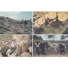 Portugal Women Shearing Pouring Hot Water On The Wool Postcard