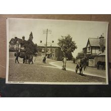 NEW FOREST PONIES, used vintage postcard by Photochrom 1952 pm
