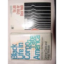 JOB CRISIS For Black Youth LIFE IN CORPORATE AMERICA 2 vintage books