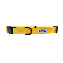 Cutie Ties Fun Design Dog Collar Large Yellow