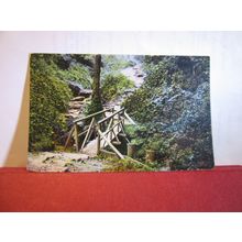THE BRIDGE, ECCLESBOURNE GLEN, HASTINGS, SUSSEX. unused vintage postcard =