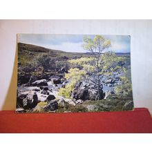 BLACK WATER, CONTIN, ROSS-SHIRE, used postcard by J. Arthur Dixon 1962 pm =