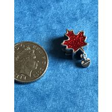 Genuine 925 Silver Canadian charm comes in a cute velvet pouch Canada Free UK