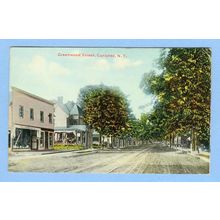 New York Canisteo Greenwood St Tree Lined Street Scene w/Trolley Track Old~335