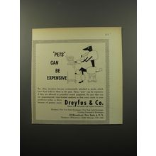 1950 Dreyfus & Co. Stock Broker Ad - Pets can be expensive
