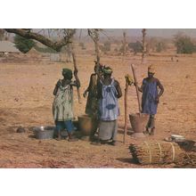 African Women Cooking Preparing A Meal Cookery Postcard