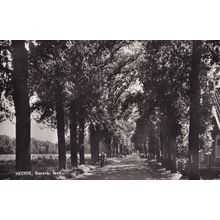 Heerde Bonenb Cyclist 1950s Real Photo Dutch Postcard