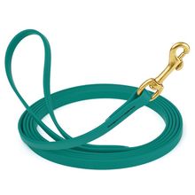 Dog Pet Leash Blue Aqua w/ Brass Hardware W 1/2" - L20'