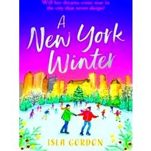 A New York Winter