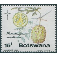 Botswana 1985 15t Acanthosicyos naudinianus SG587 MNH