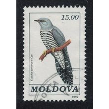 Moldova European Cuckoo Bird 15r Key Value 1992 Canc SG#24