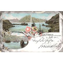 Gruss Aus Seltwald Am Brienzersee Rare Old Switzerland Postcard
