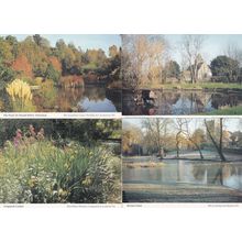 Long Sutton Buriton Harold Hillier Arboretum Pond 4x Rare Hampshire Postcard s