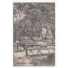 The Rustic Bridge Norbury Topse Postcard 1904 Surrey