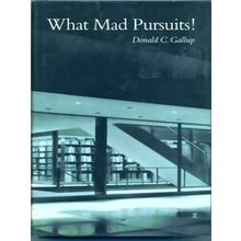 What Mad Pursuits