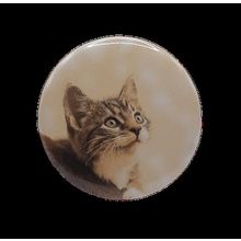 Cat Looking Up[ 2.25 inch ]