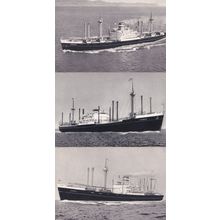 SS Schiedyk Sloterdyk Soestdyk Holland 3x America Line Ship Postcard s