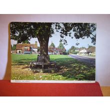 THE GREEN, ELSTEAD, Surrey. used postcard by Judges 1973 pm #