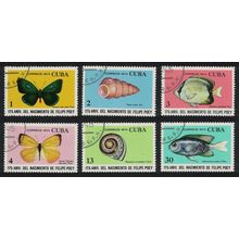 Caribic Fish Shells Butterflies 6v 1974 Canc SG#2125-2130