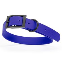 Dog Pet Waterproof Collar - W1" x L18"-22" - Blueberry Royal
