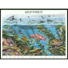 Kelp Forest Nature Series Sheet of Ten 44 Cent Postage Stamps Scott 4423
