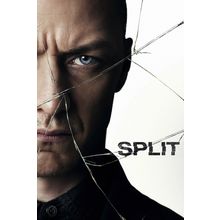 Split 2 Poster Canvas Movie Film Print A0 A1 A2 A3 A4 A5 A6 Art Wall Decoration