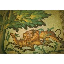 Tiger Killing Deer Roman Hisham Palace Jericho Mosaic Floor Israel Postcard