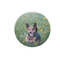 Cute Dog[ 2.25 inch ]