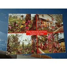 postcard vintage plant nursery frankfurt germany