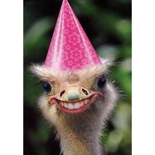 Have A Freakishly Happy Birthday - 14690