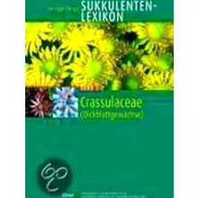 Sukkulentenlexikon 4