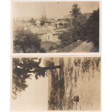 South Africa Houses in Wilderness Baboon 2x Old Photo Postcard s