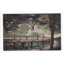Bostall Woods Plumstead Postcard South East London