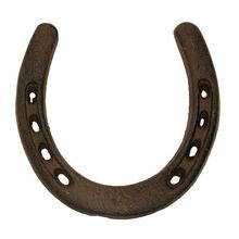 Cast Iron Large Horse Shoe Set of 6