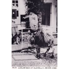 Ludlow Clovelly Devon Royal Mail Pillar Box Real Photo Postcard