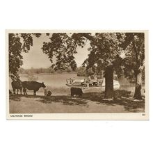 Salhouse Broad, Norfolk Broads, Postcard.