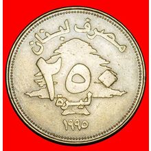 Ⰶ CANADA (1995-2003): LEBANON ★ 250 POUNDS 1995 CEDAR! ★LOW START★NO RESERVE