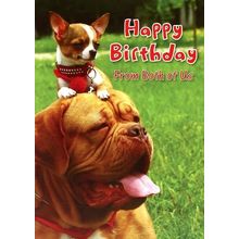 Happy Birthday From Both of Us - Birthday Greeting Card - 00749