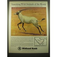 1966 Midland Bank Ad - Arabian Oryx - Vanishing Wild Animals of the World