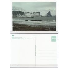CPM TAAF Baie Larose à Kerguelen Neuf **