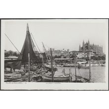 La Lonja y Catedral, Palma de Mallorca, c.1950 - Foto Tarjeta Postal