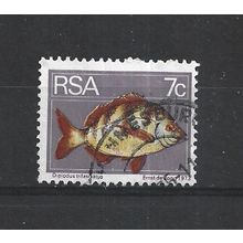 SouthAfrica.SG354 7c Bontrok Seabream.Fine Used.Sep25a