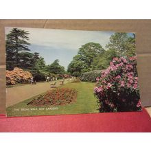 THE BROAD WALK, KEW GARDENS, LONDON .. used postcard 1967 pm J. Salmon =