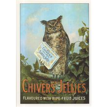 Owl Chivers Jelly Advertising Postcard