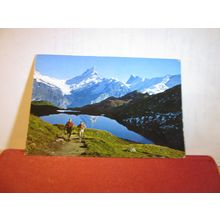 bachsee, schreckhorn, finsterarrhorn, GRINDELWALD .used postcard 1960 pm =